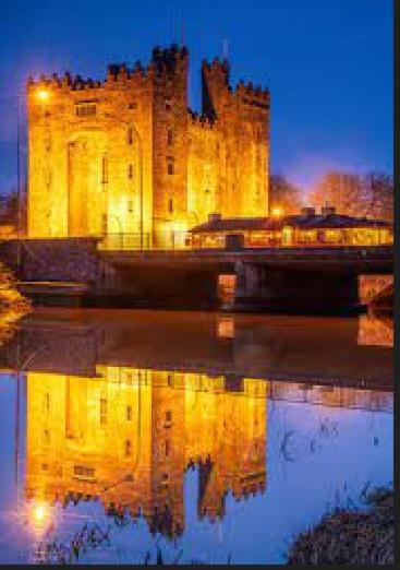 Bunratty Castle Gardens Villa Exterior foto